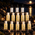 Gadza Reseller Growth Package — 15 Fragrances